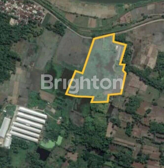 Tanah Dijual Tambakrejo Jombang - Eko Wahyudi 085235111122
