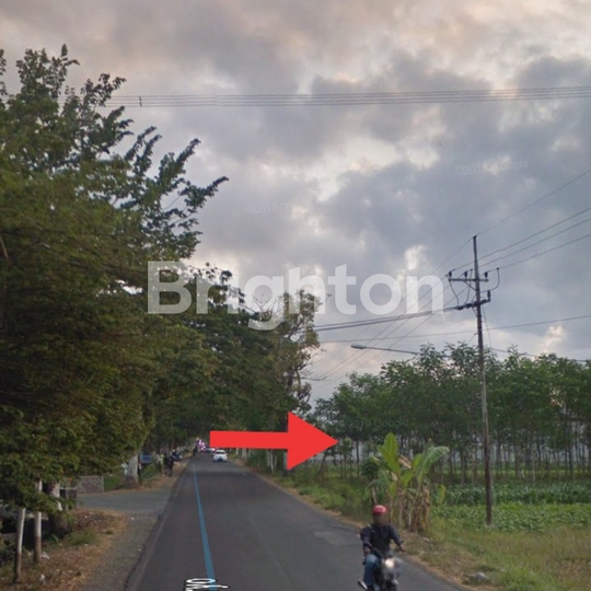 Tanah Dijual Pahlawan Sunaryo Kemiri Pasuruan - Eko Wahyudi 085235111122