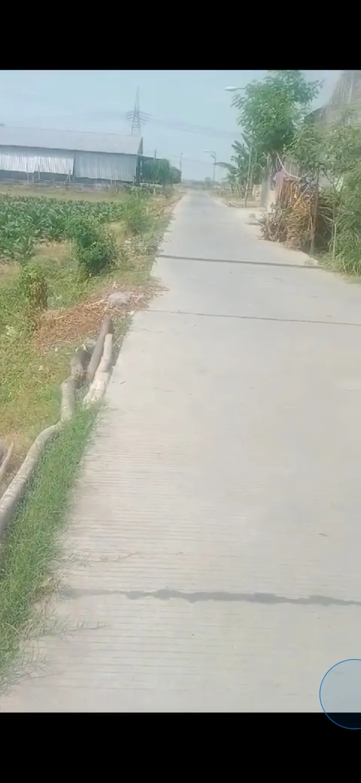 Jual Tanah di DESA GLAGAH BANYULEGI Dawarblandong Mojokerto Jawa Timur - jual tanah sawah - ASA INDONESIA 085235111122 - BRIGHTON REAL ESTATE