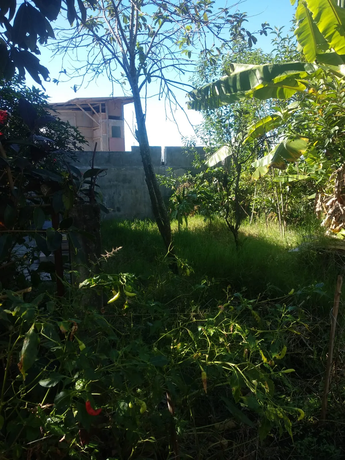 Jual Tanah di BUMIAJI Arjowinangun Malang Jawa Timur - KAVLING BUMIAJI