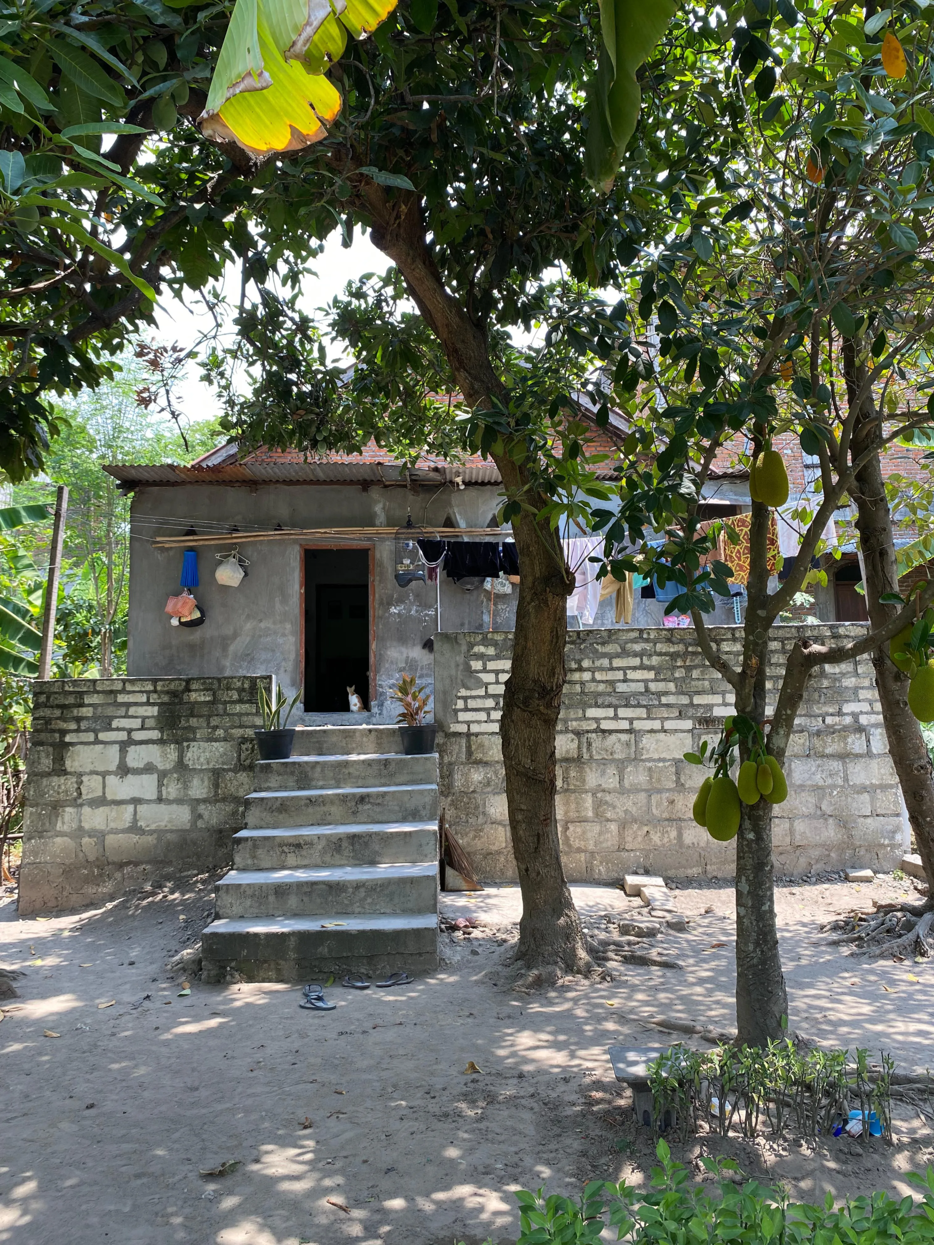 Jual Rumah di JL RAYA BANGSAL Bangsal Mojokerto Jawa Timur - tanah+rumah - ASA INDONESIA 085235111122 - BRIGHTON REAL ESTATE