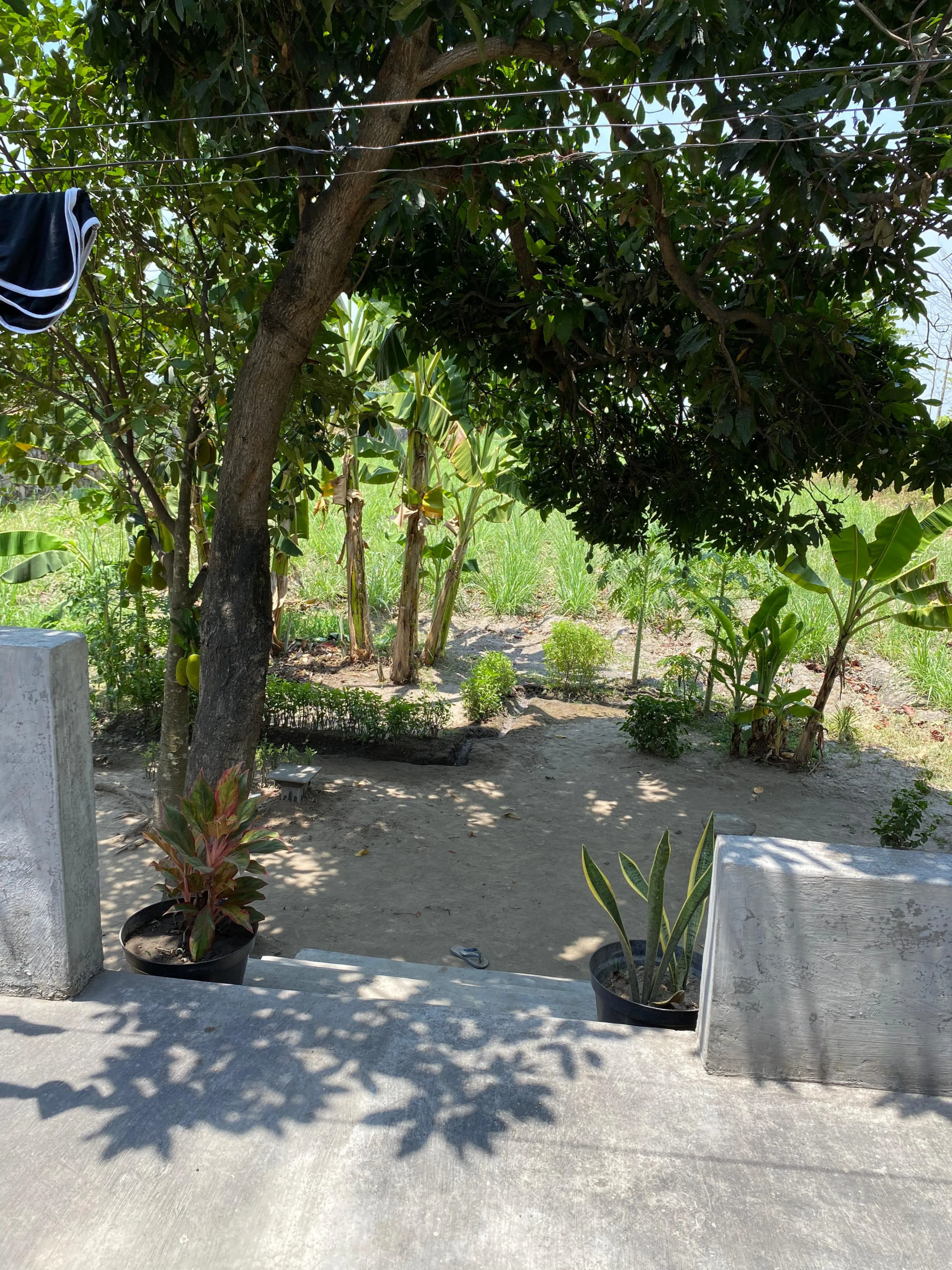 Jual Rumah di JL RAYA BANGSAL Bangsal Mojokerto Jawa Timur - tanah+rumah - ASA INDONESIA 085235111122 - BRIGHTON REAL ESTATE