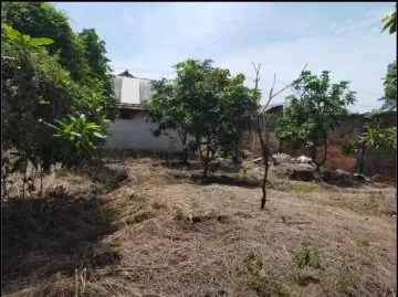 Jual Tanah di JL RAYA BUNCITAN Sedati Sidoarjo Jawa Timur - Tanah Sedati Sidoarjo dekat Juanda - ASA INDONESIA 085235111122 - BRIGHTON REAL ESTATE