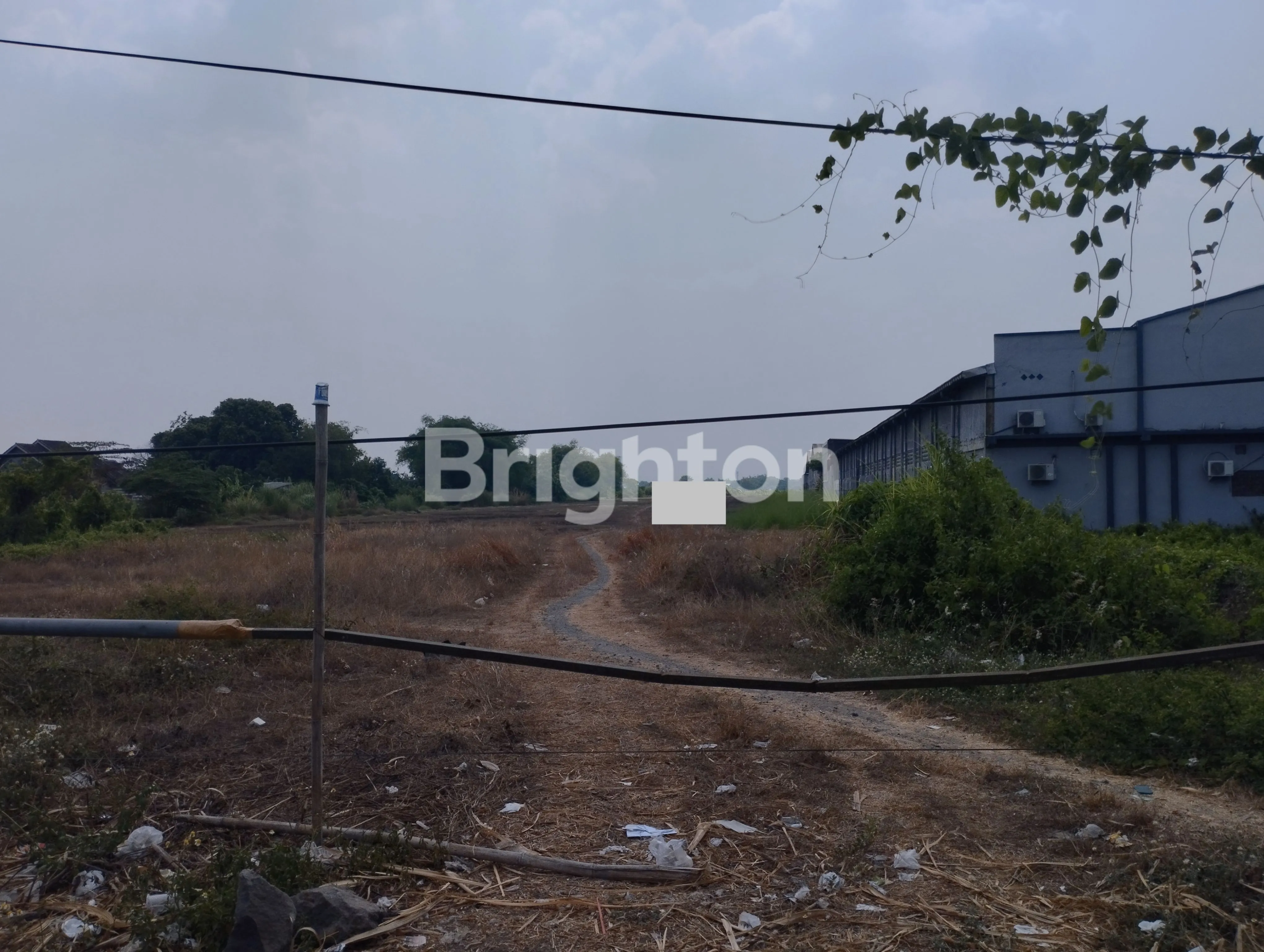 Jual Tanah di JL RAYA KEBARON Tulangan Sidoarjo Jawa Timur - tanah di Tulangan (Raya Kebaron) - ASA INDONESIA 085235111122 - BRIGHTON REAL ESTATE