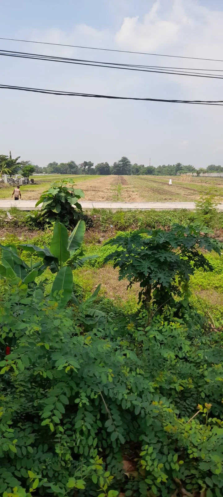 Jual Tanah di JL RAYA PACET Dlanggu Mojokerto Jawa Timur - tanah area dlangu - ASA INDONESIA 085235111122 - BRIGHTON REAL ESTATE