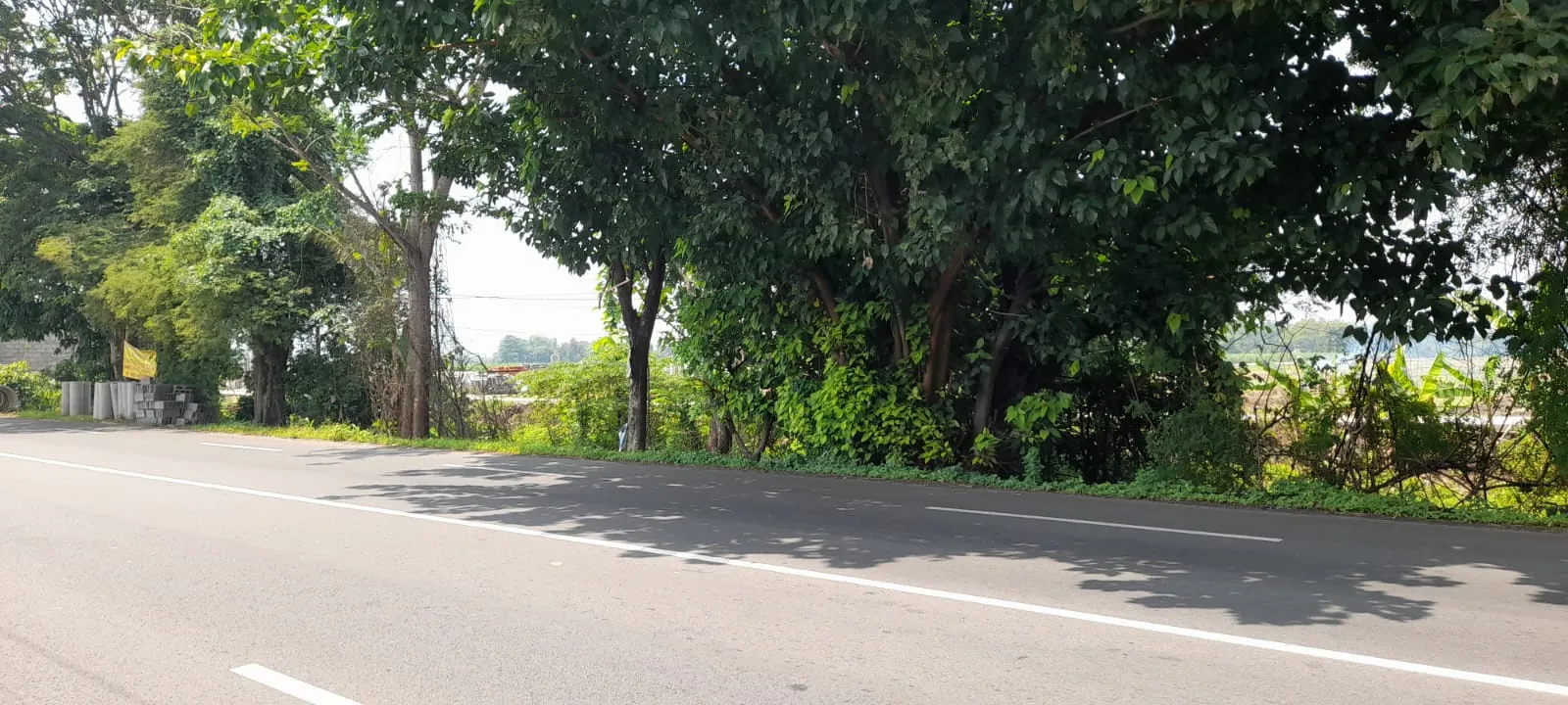 Jual Tanah di JL RAYA PACET Dlanggu Mojokerto Jawa Timur - tanah area dlangu - ASA INDONESIA 085235111122 - BRIGHTON REAL ESTATE