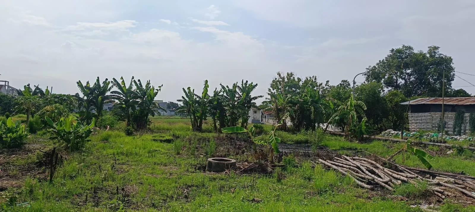 Jual Tanah di KEDUNGREJO WEDORO Candi Sidoarjo Jawa Timur - jual tanah - ASA INDONESIA 085235111122 - BRIGHTON REAL ESTATE