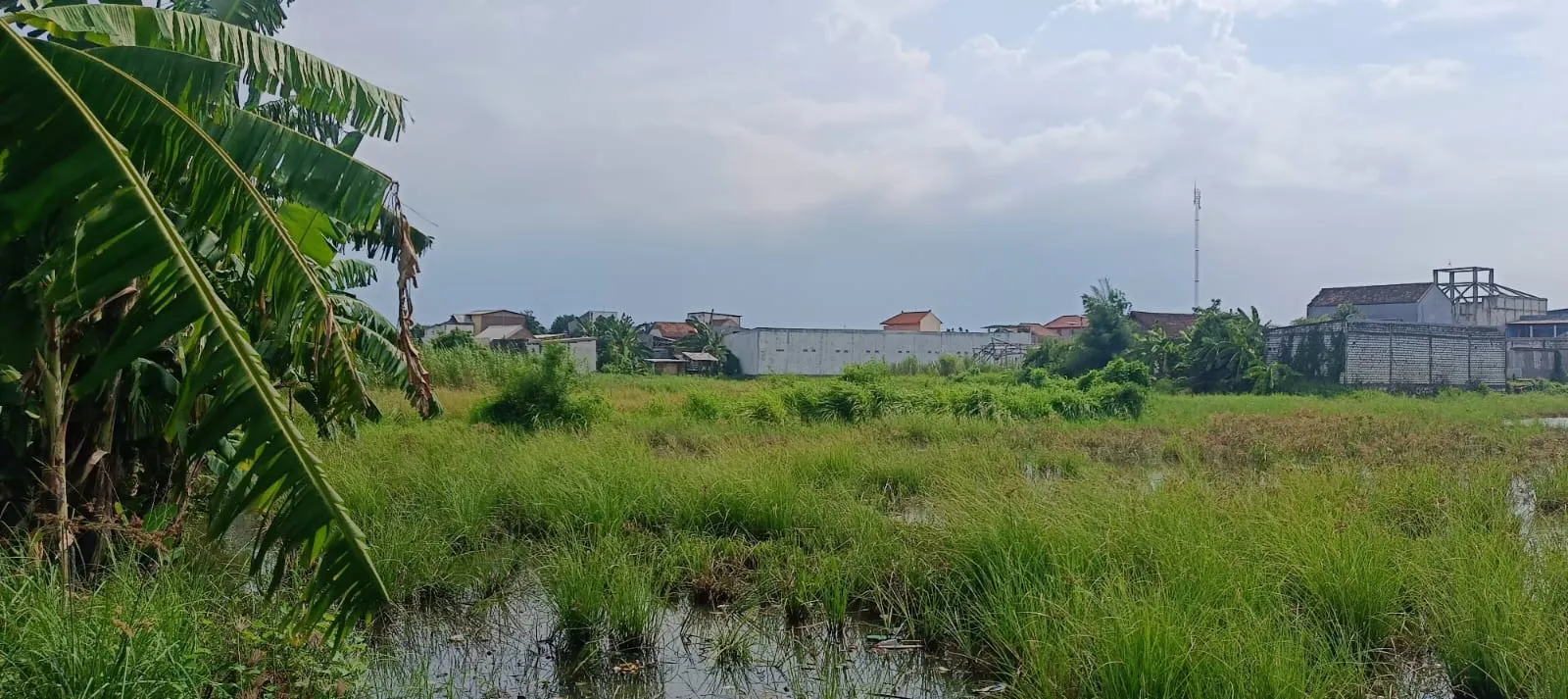 Jual Tanah di KEDUNGREJO WEDORO Candi Sidoarjo Jawa Timur - jual tanah - ASA INDONESIA 085235111122 - BRIGHTON REAL ESTATE