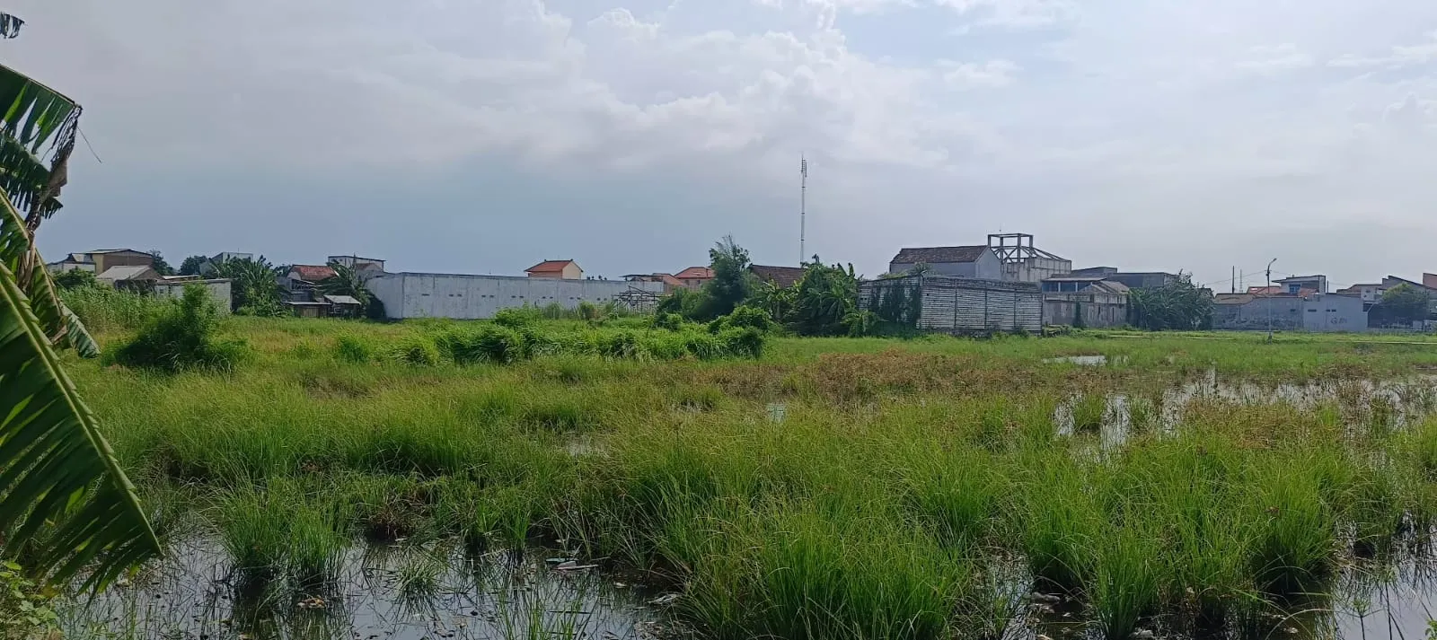 Jual Tanah di KEDUNGREJO WEDORO Candi Sidoarjo Jawa Timur - jual tanah - ASA INDONESIA 085235111122 - BRIGHTON REAL ESTATE