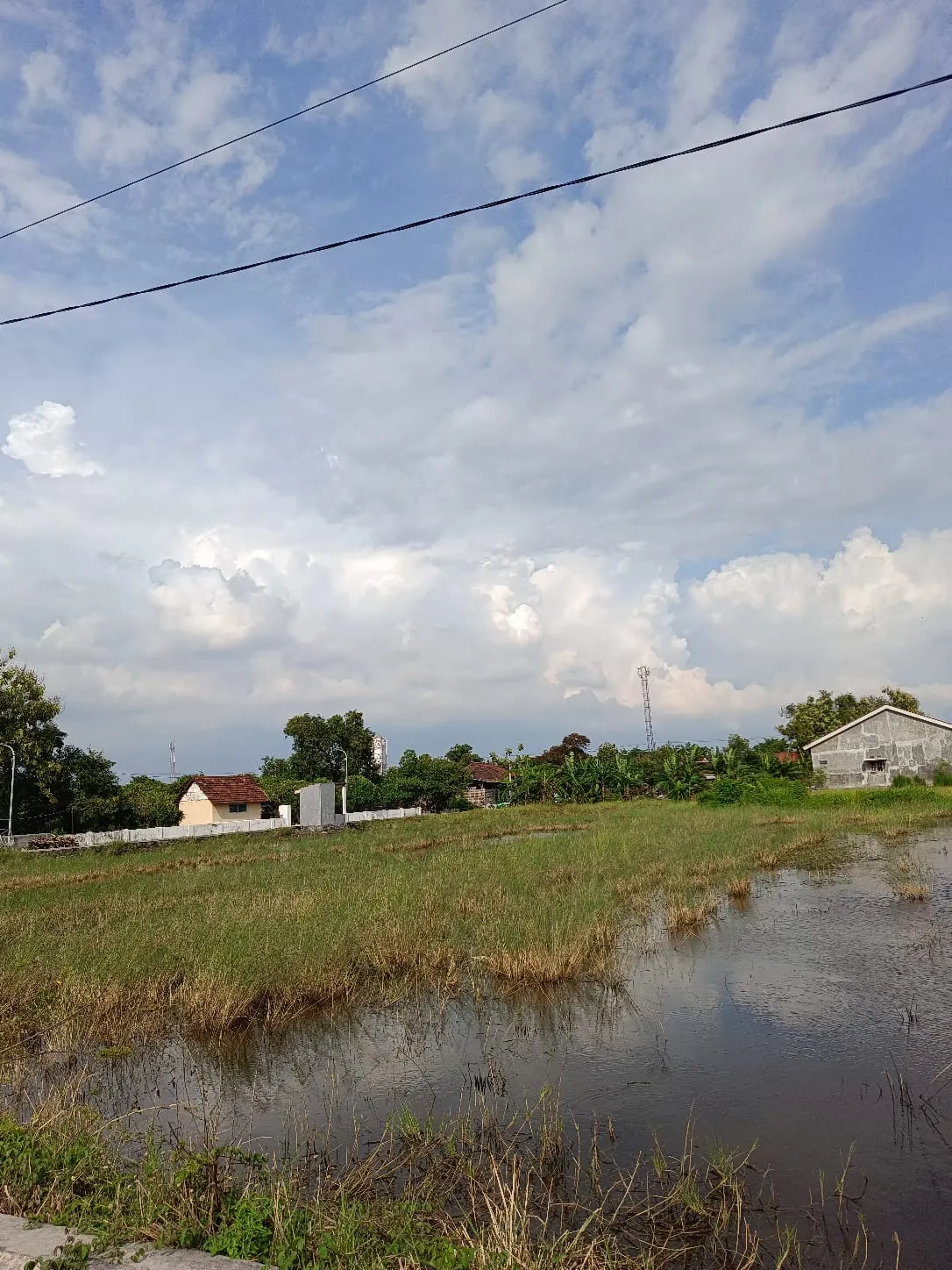 Jual Tanah di KEDUNGREJO WEDORO Candi Sidoarjo Jawa Timur - jual tanah - ASA INDONESIA 085235111122 - BRIGHTON REAL ESTATE