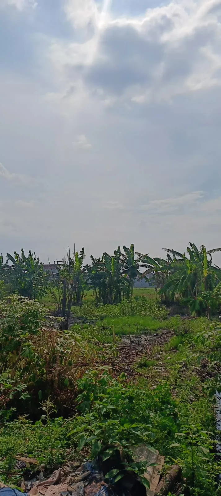 Jual Tanah di KEDUNGREJO WEDORO Candi Sidoarjo Jawa Timur - jual tanah - ASA INDONESIA 085235111122 - BRIGHTON REAL ESTATE