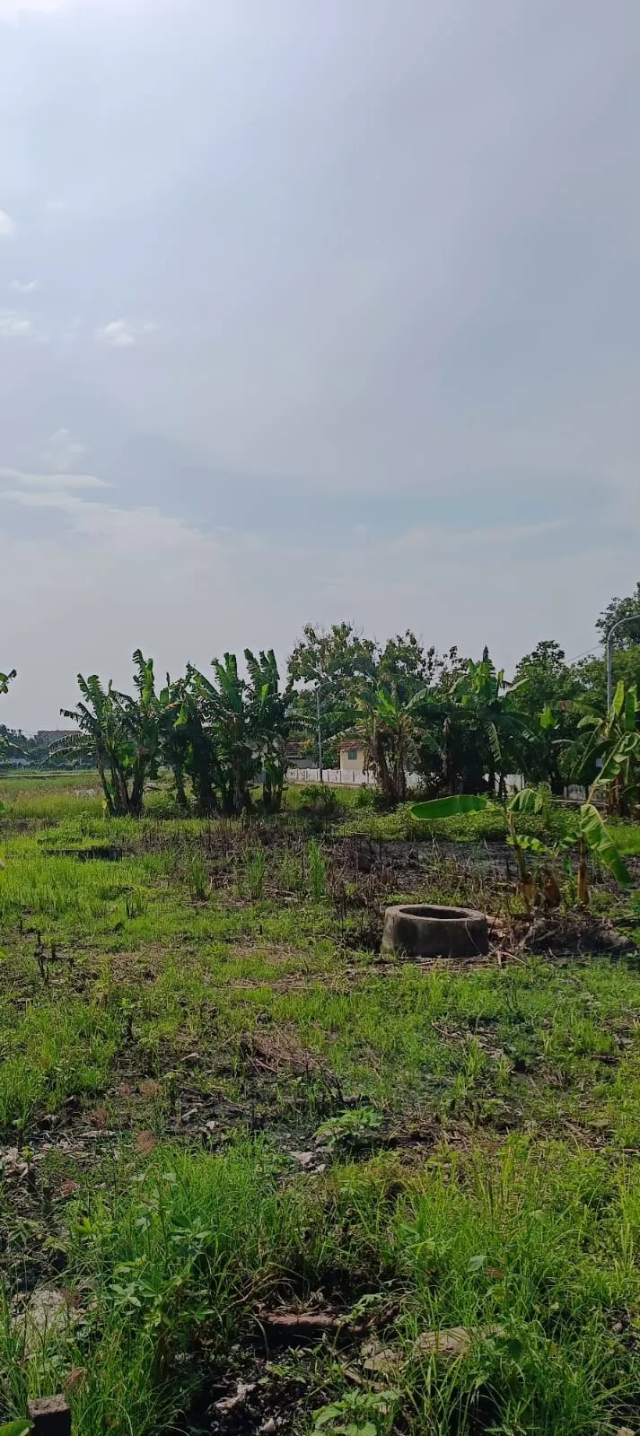 Jual Tanah di KEDUNGREJO WEDORO Candi Sidoarjo Jawa Timur - jual tanah - ASA INDONESIA 085235111122 - BRIGHTON REAL ESTATE