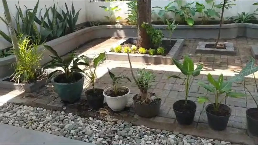 Jual Rumah di MARGO UTOMO Purworejo Pasuruan Jawa Timur - rumah full furnished di tengah kota Pasuruan - ASA INDONESIA 085235111122 - BRIGHTON REAL ESTATE