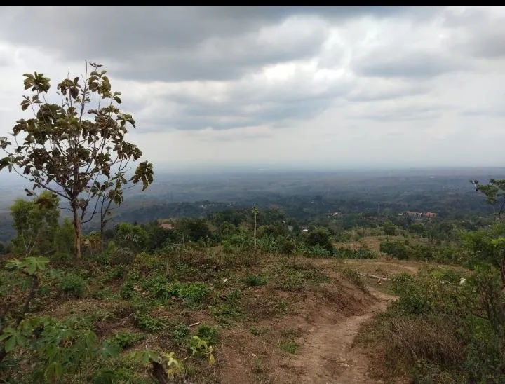 Jual Tanah di MBODAG Kare Madiun Jawa Timur - KARE - ASA INDONESIA 085235111122 - BRIGHTON REAL ESTATE