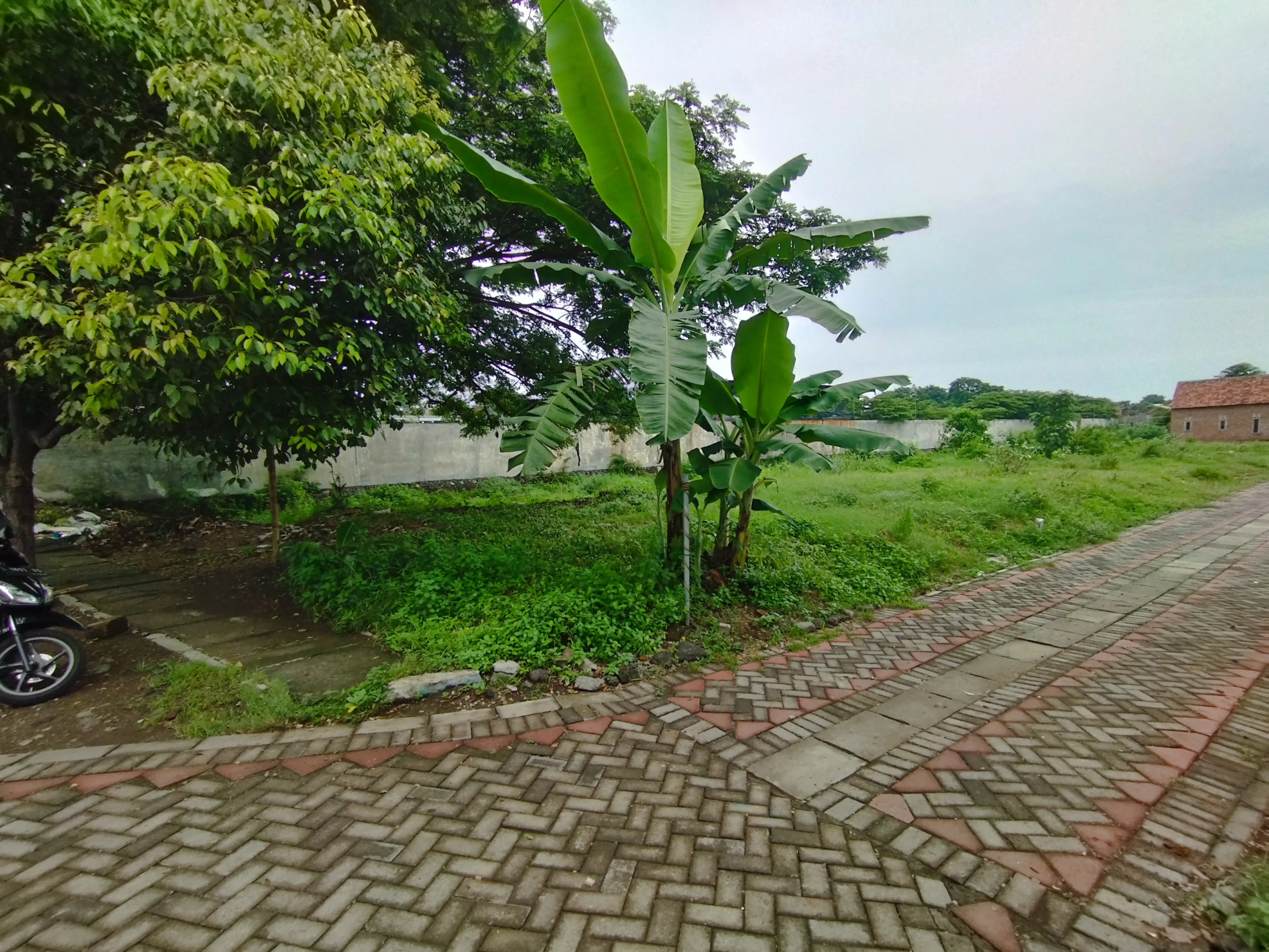 Jual Tanah di RING ROAD SELATAN Purworejo Pasuruan Jawa Timur - Jual tanah strategis di Pasuruan - ASA INDONESIA 085235111122 - BRIGHTON REAL ESTATE