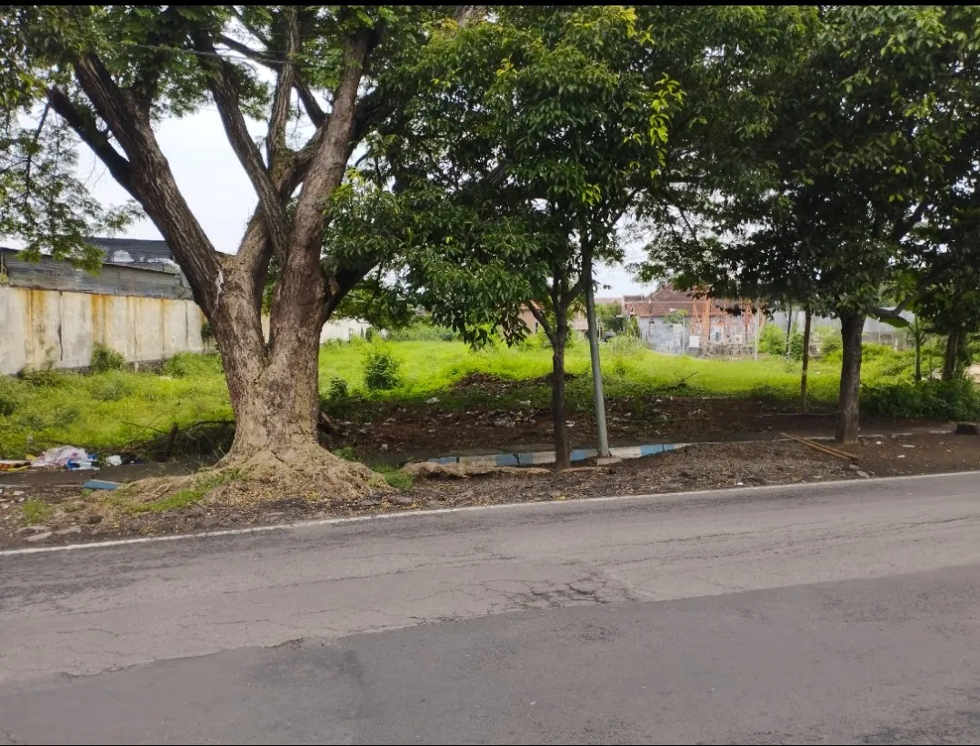 Jual Tanah di RING ROAD SELATAN Purworejo Pasuruan Jawa Timur - Jual tanah strategis di Pasuruan - ASA INDONESIA 085235111122 - BRIGHTON REAL ESTATE