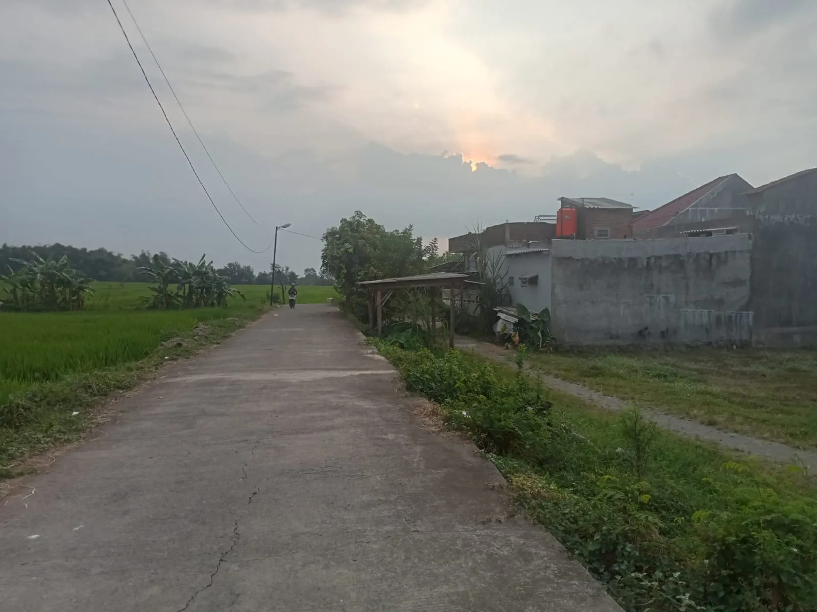 Jual Tanah di SAMPANG AGUNG Kutorejo Mojokerto Jawa Timur - jual tanah - ASA INDONESIA 085235111122 - BRIGHTON REAL ESTATE