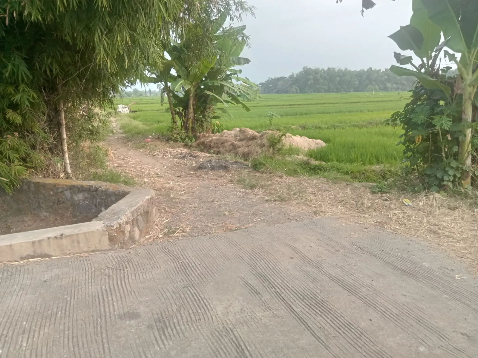 Jual Tanah di SAMPANG AGUNG Kutorejo Mojokerto Jawa Timur - jual tanah - ASA INDONESIA 085235111122 - BRIGHTON REAL ESTATE