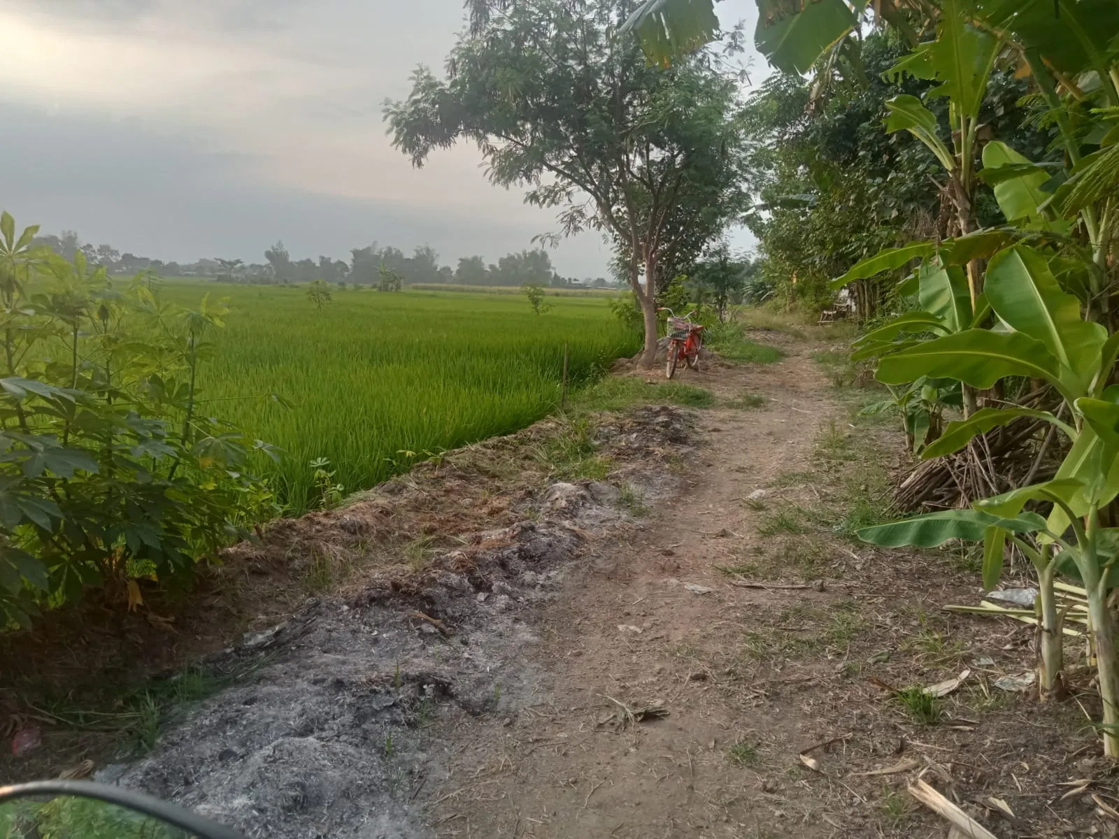 Jual Tanah di SAMPANG AGUNG Kutorejo Mojokerto Jawa Timur - jual tanah - ASA INDONESIA 085235111122 - BRIGHTON REAL ESTATE