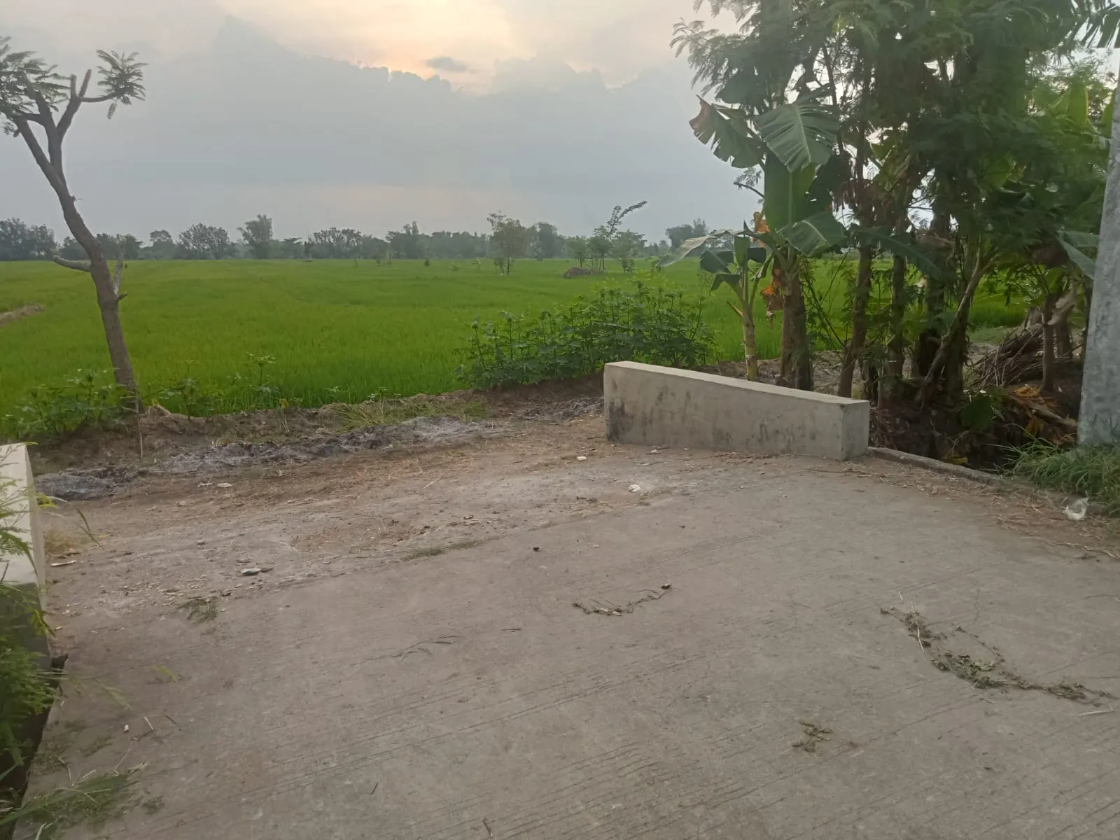 Jual Tanah di SAMPANG AGUNG Kutorejo Mojokerto Jawa Timur - jual tanah - ASA INDONESIA 085235111122 - BRIGHTON REAL ESTATE