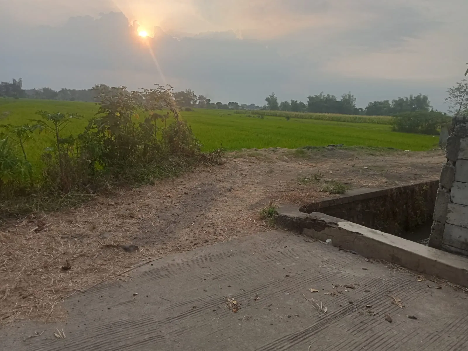 Jual Tanah di SAMPANG AGUNG Kutorejo Mojokerto Jawa Timur - jual tanah - ASA INDONESIA 085235111122 - BRIGHTON REAL ESTATE