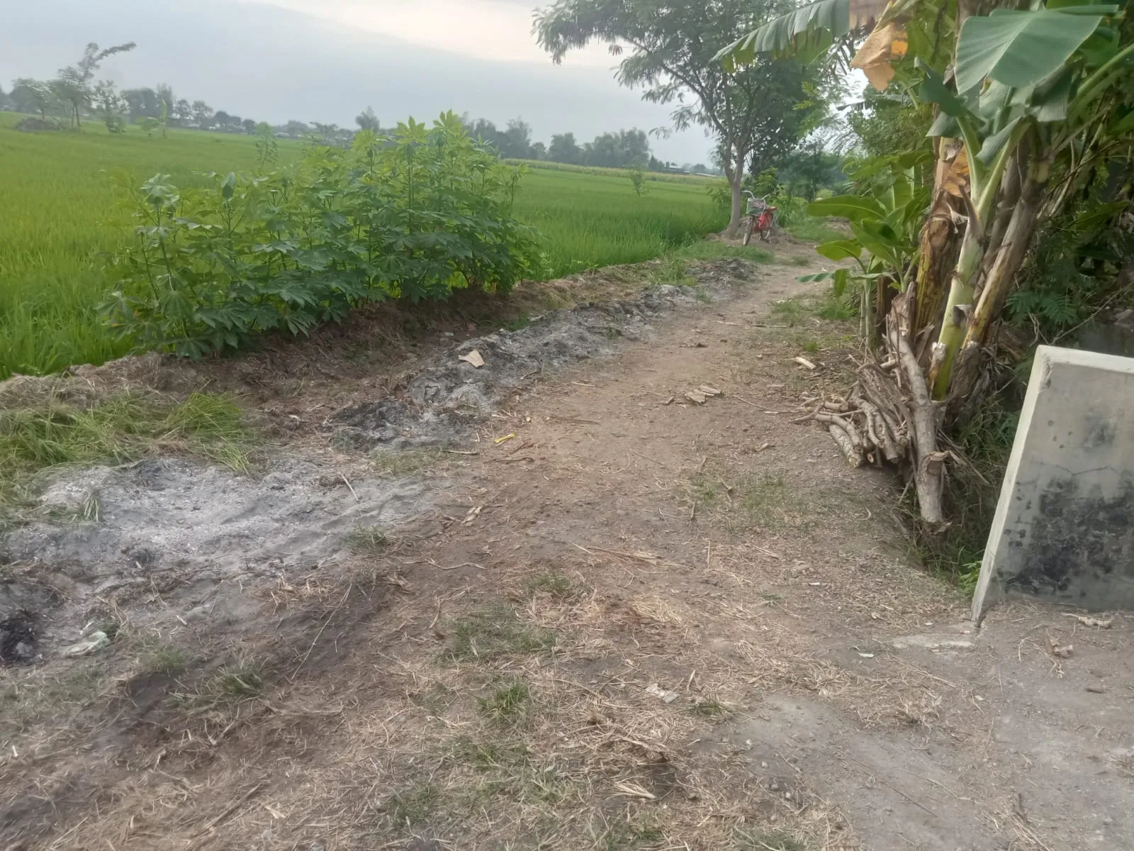 Jual Tanah di SAMPANG AGUNG Kutorejo Mojokerto Jawa Timur - jual tanah - ASA INDONESIA 085235111122 - BRIGHTON REAL ESTATE