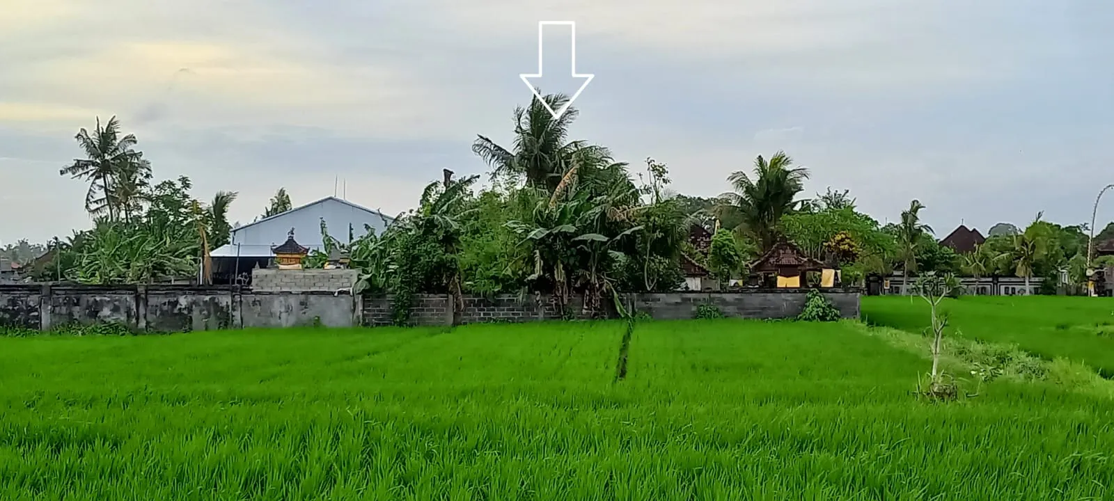 Jual Tanah di BANJAR NYAMBU Kediri Tabanan Bali - LAHAN SIAP BANGUN