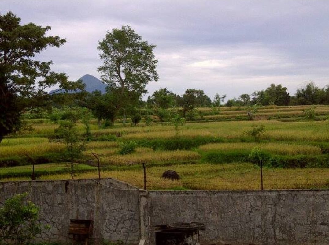 Jual Lain-lain di TAMAN SAFARI Sukorejo Pasuruan Jawa Timur - RESTO PLUS KOLAM PANCING DENGAN VIEW CIAMIKKK - ASA INDONESIA 085235111122 - BRIGHTON REAL ESTATE