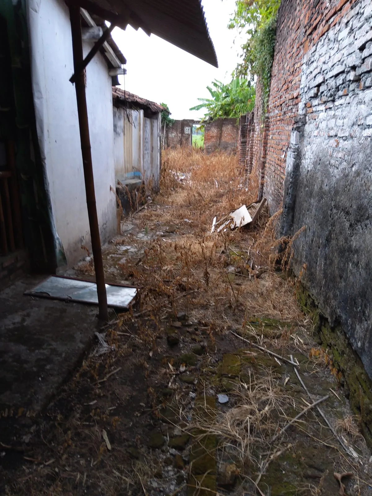 Jual Rumah di KREMBUNG Krembung Sidoarjo Jawa Timur - RUMAH LOKASI 0 JALAN RAYA KREMBUNG SIDOARJO. COCOK UNTUK USAHA. - ASA INDONESIA 085235111122 - BRIGHTON REAL ESTATE